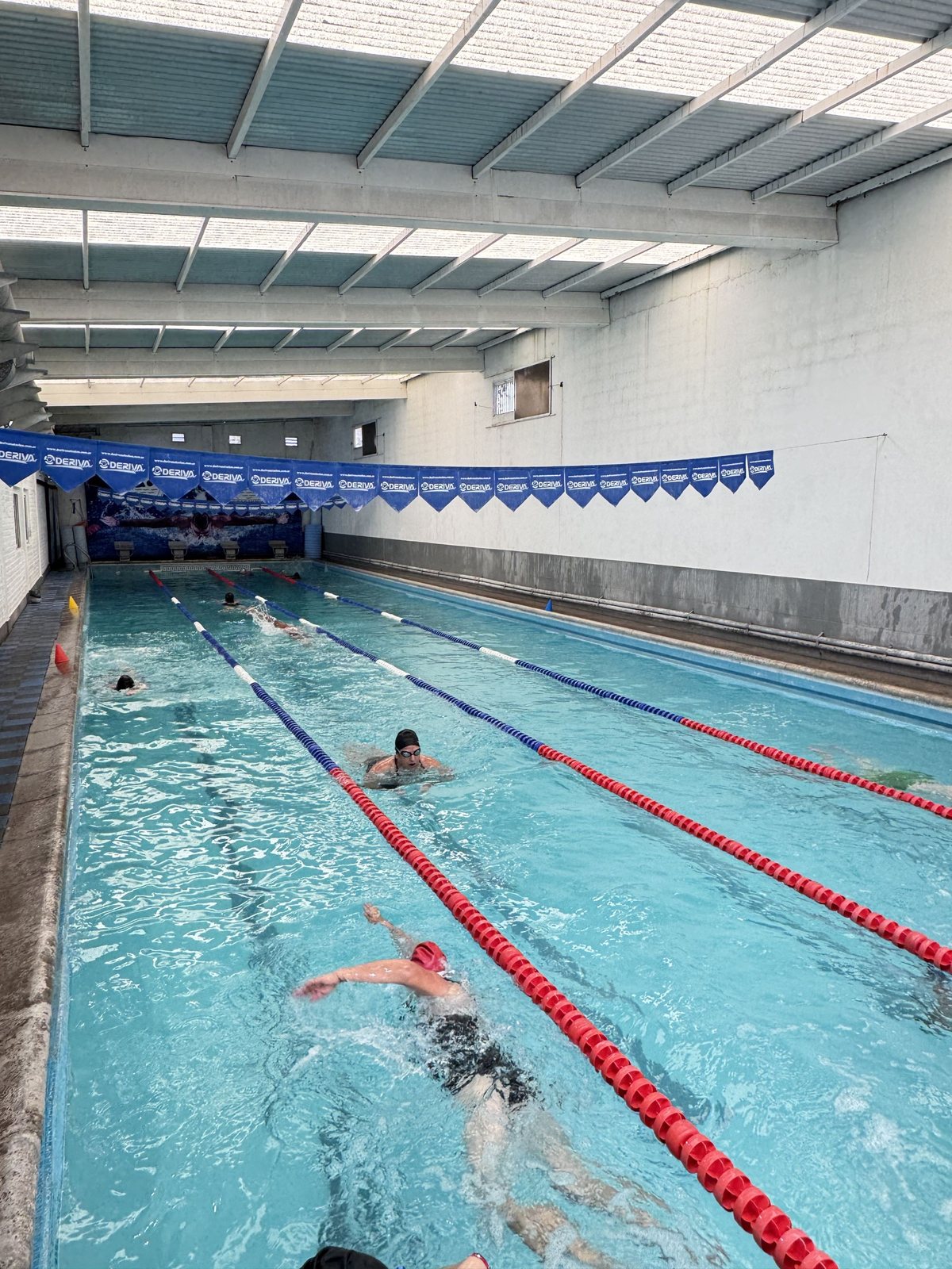 Nadadores practicando crol en la clase de natación para adultos